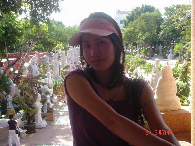 龙网/会员+恐龙妹