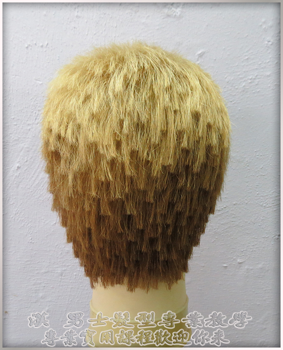 风格独具的男士<em>刻</em>剪发型