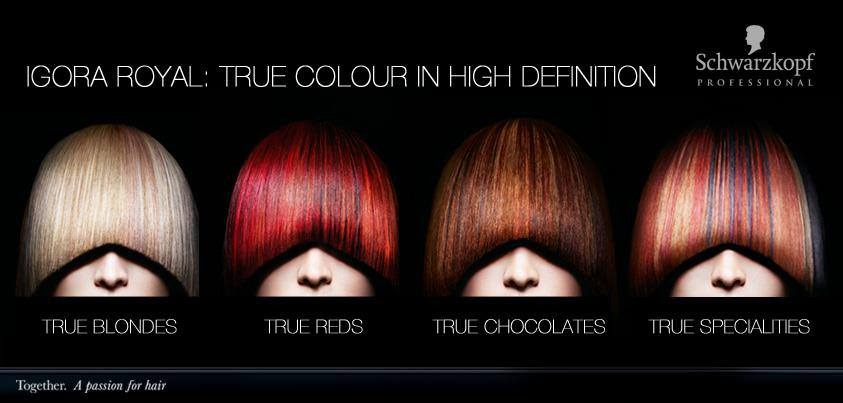 台湾<em>施华蔻</em> / 流光溢彩<em>发型</em>秀预告